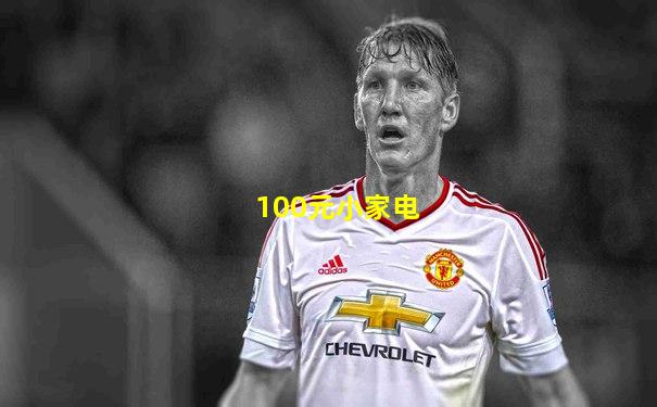 100元小家电