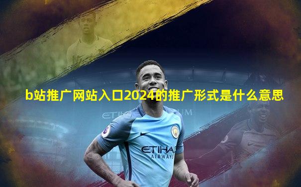 b站推广网站入口2024的推广形式是什么意思