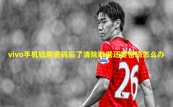 vivo手机锁屏密码忘了清除数据还要密码怎么办