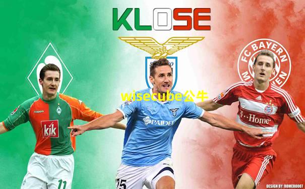 wisecube公牛