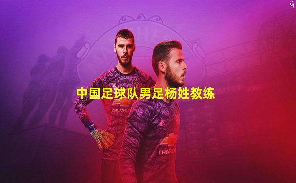 中国足球队男足杨姓教练