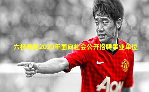 六枝特区2020年面向社会公开招聘事业单位
