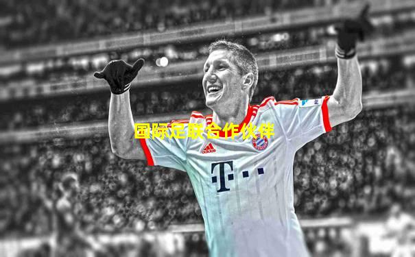 国际足联合作伙伴