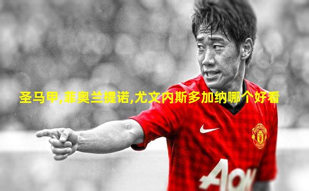 圣马甲,菲奥兰提诺,尤文内斯多加纳哪个好看