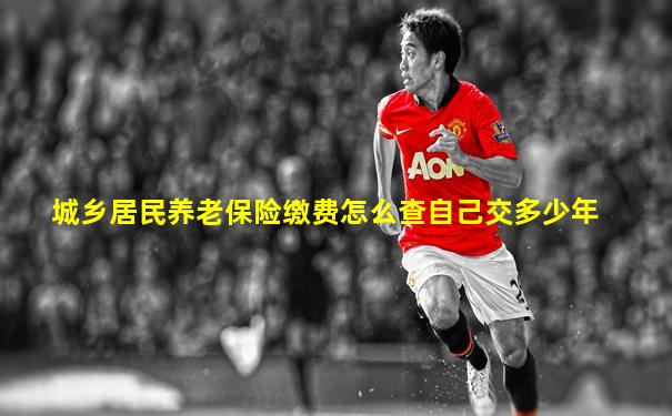 城乡居民养老保险缴费怎么查自己交多少年