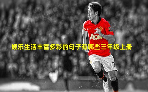 娱乐生活丰富多彩的句子有哪些三年级上册