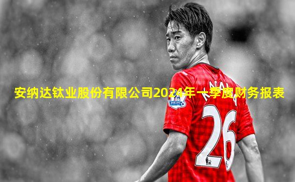 安纳达钛业股份有限公司2024年一季度财务报表