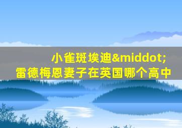 小雀斑埃迪·雷德梅恩妻子在英国哪个高中