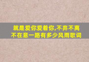就是爱你爱着你,不弃不离不在意一路有多少风雨歌词