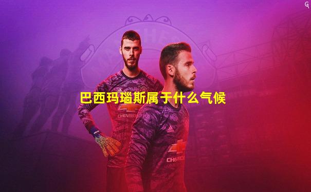 巴西玛瑙斯属于什么气候