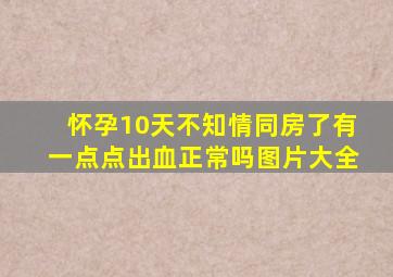 怀孕10天不知情同房了有一点点出血正常吗图片大全