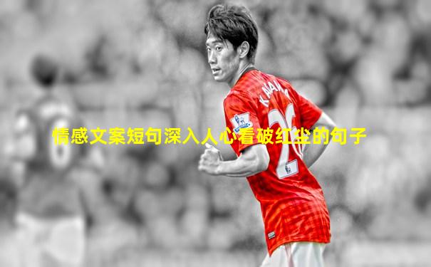 情感文案短句深入人心看破红尘的句子