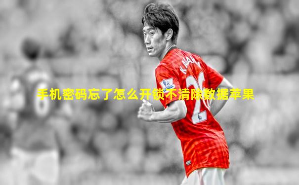 手机密码忘了怎么开锁不清除数据苹果