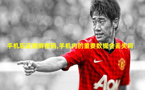 手机忘证锁屏密码,手机内的重要数据会丢失吗