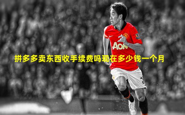 拼多多卖东西收手续费吗现在多少钱一个月