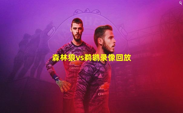 森林狼vs鹈鹕录像回放