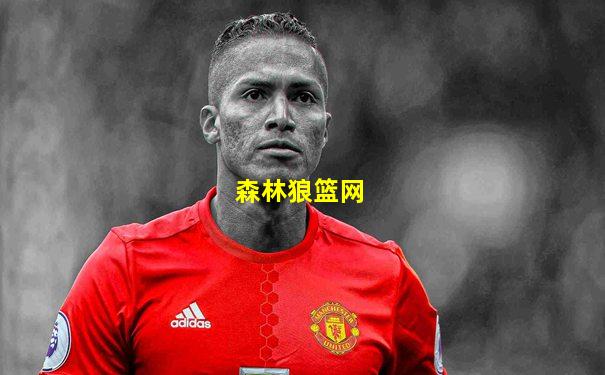 森林狼篮网