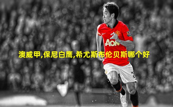 澳威甲,保尼白鹰,希尤斯布伦贝斯哪个好