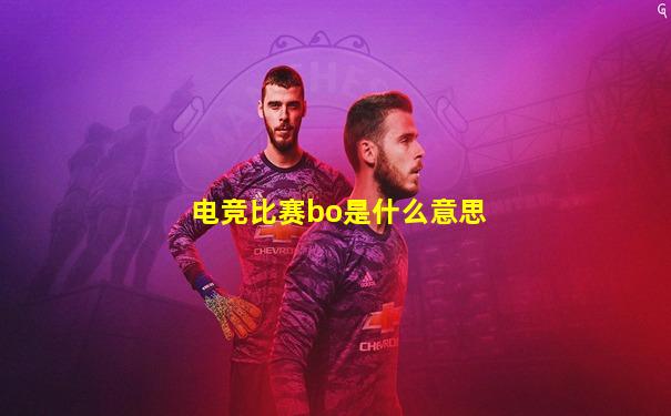 电竞比赛bo是什么意思