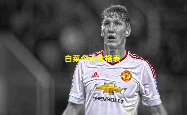 白菜今天价格表