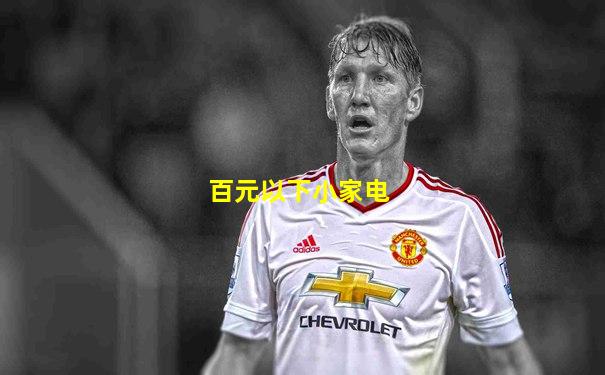 百元以下小家电