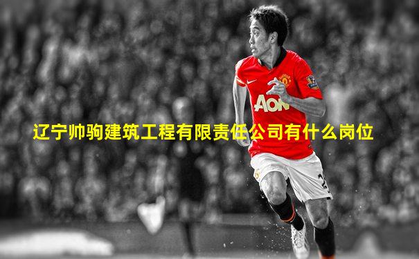 辽宁帅驹建筑工程有限责任公司有什么岗位