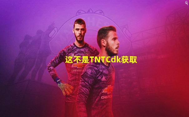 这不是TNTCdk获取