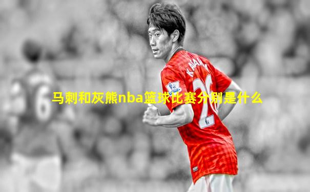 马刺和灰熊nba篮球比赛分别是什么