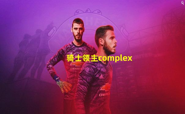 骑士领主complex